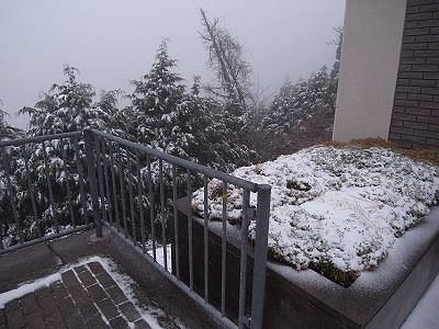 護摩壇山は雪
