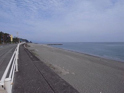 広かった