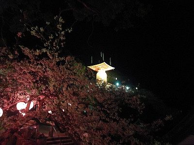 美しかった